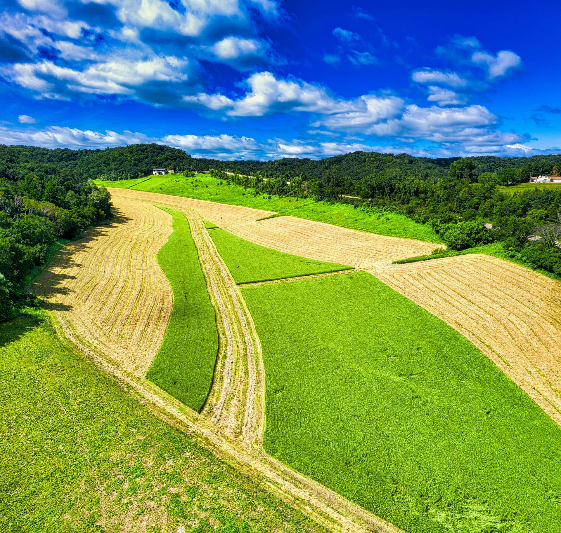 Agriculture